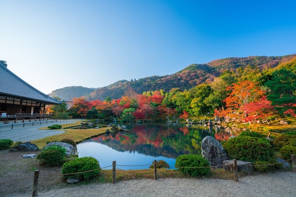 京都 天龍寺の紅葉