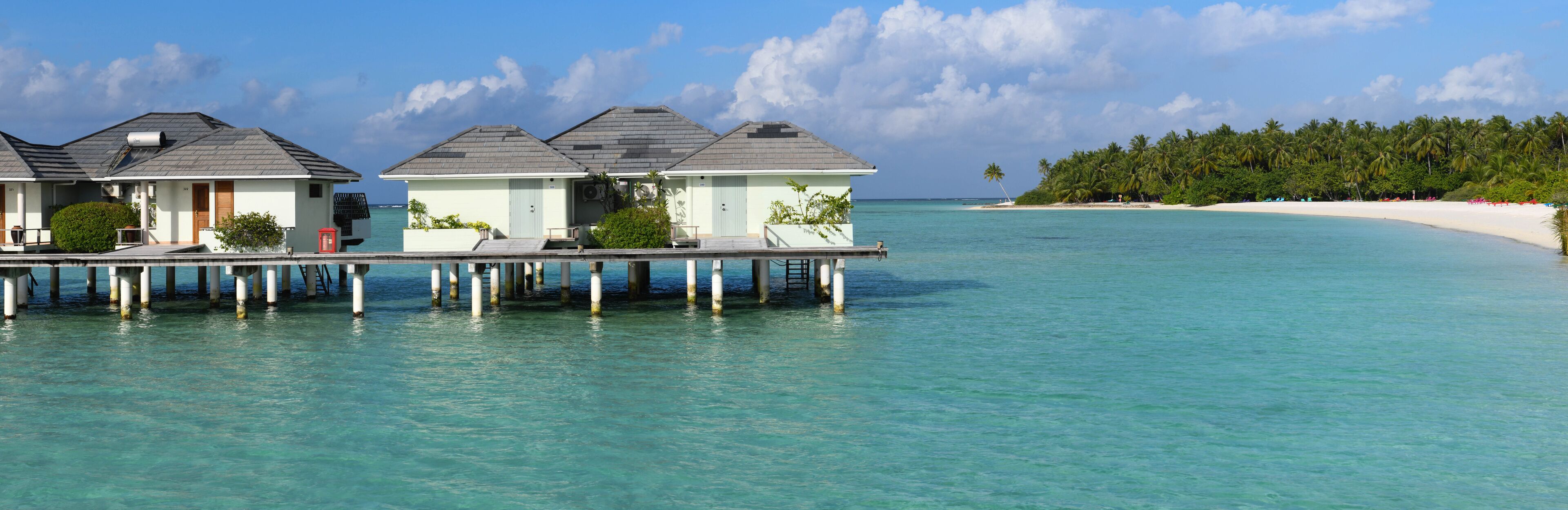 Overwater bungalows on stilts, clear turquoise water, and a sandy beach with palm trees.