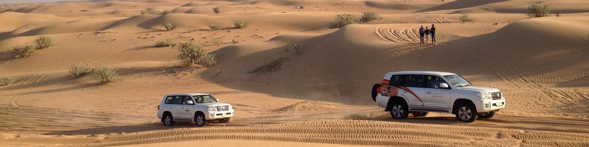 When in Dubai a desert safari is a must :-)
