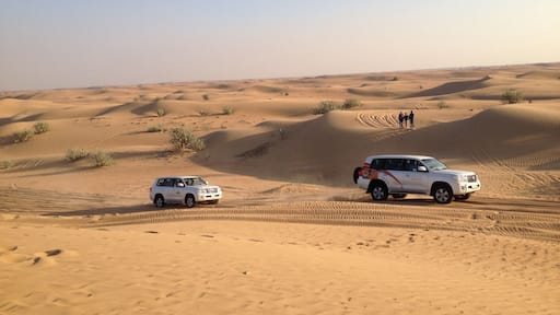 When in Dubai a desert safari is a must :-)