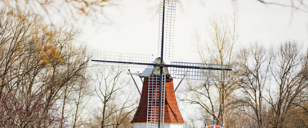 Blooming Tulips and Miniature Windmill at Windmill Island Gardens