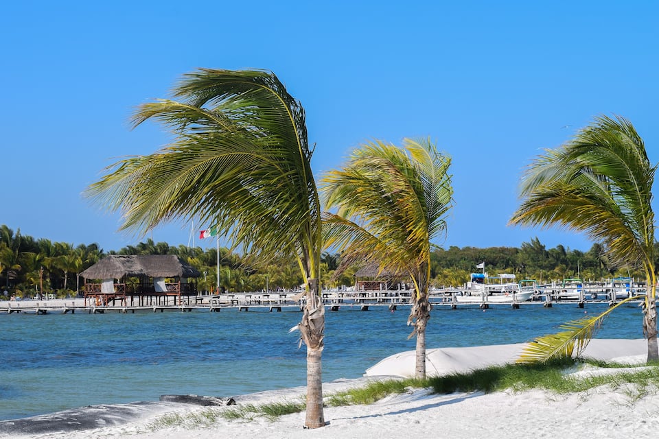 Una playa con palmeras, una cabaña de techo de paja y un puerto deportivo con barcos.