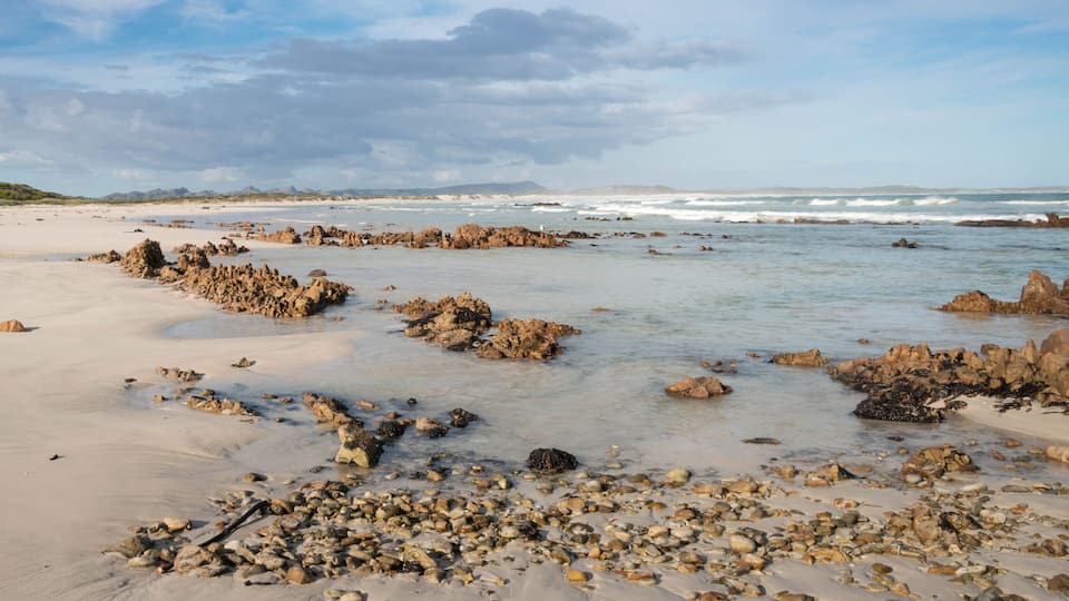 A rocky beach with scattered boulders and calm waves.