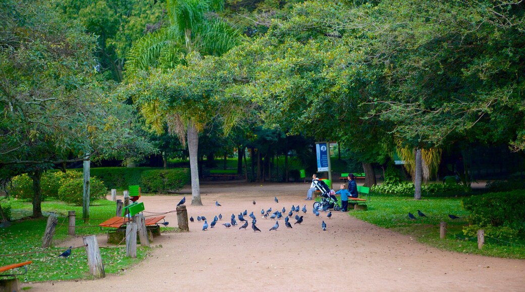 모이노스 드 벤토 공원 이 포함 정원