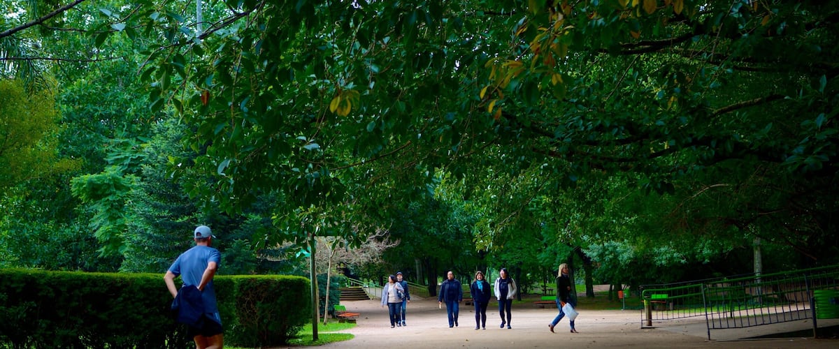 Moinhos de Vento Park which includes hiking or walking and a garden as well as an individual male