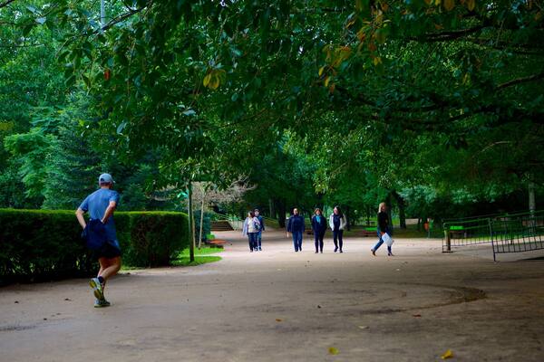 Parque Moinhos de Vento welches beinhaltet Wandern oder Spazieren und Park sowie einzelner Mann