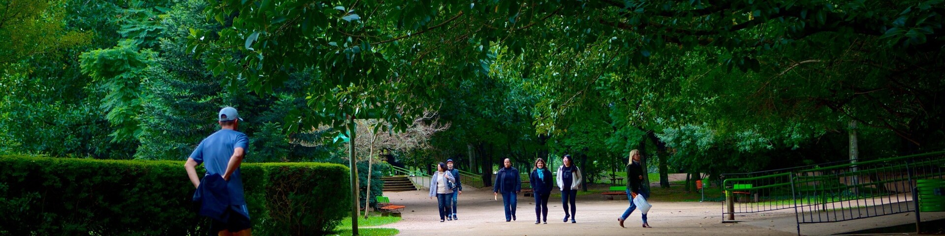 Parque Moinhos de Vento que incluye caminatas y jardín y también un hombre