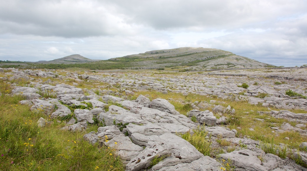 The Burren showing tranquil scenes