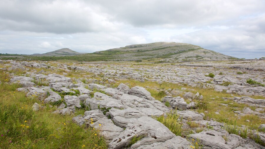 The Burren