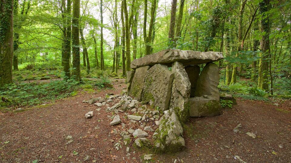 A stone structure in a forest.