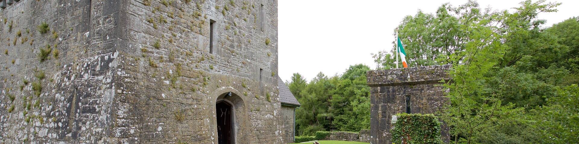 Craggaunowen showing heritage architecture, heritage elements and chateau or palace