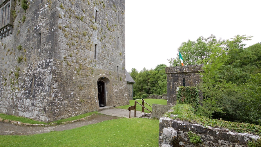 Craggaunowen som inkluderer historisk arkitektur, palass og kulturarv