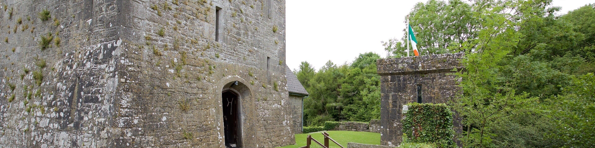 Craggaunowen montrant chĂąteau ou palais, patrimoine architectural et patrimoine historique