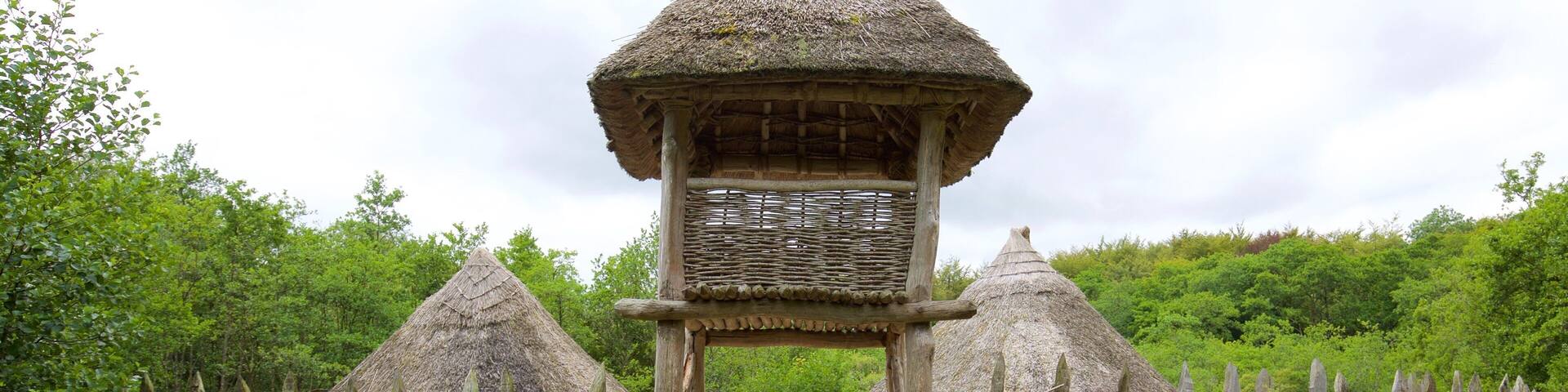 Craggaunowen som visar en liten stad eller by, historisk arkitektur och historiska element