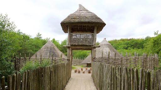 Craggaunowen che include architettura d\'epoca, oggetti d\'epoca e piccola città o villaggio