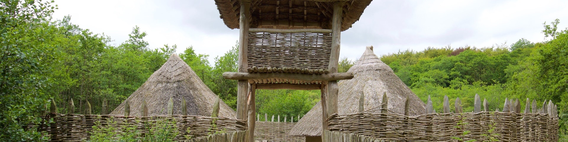 Craggaunowen caracterizando elementos de patrimônio, uma cidade pequena ou vila e arquitetura de patrimônio
