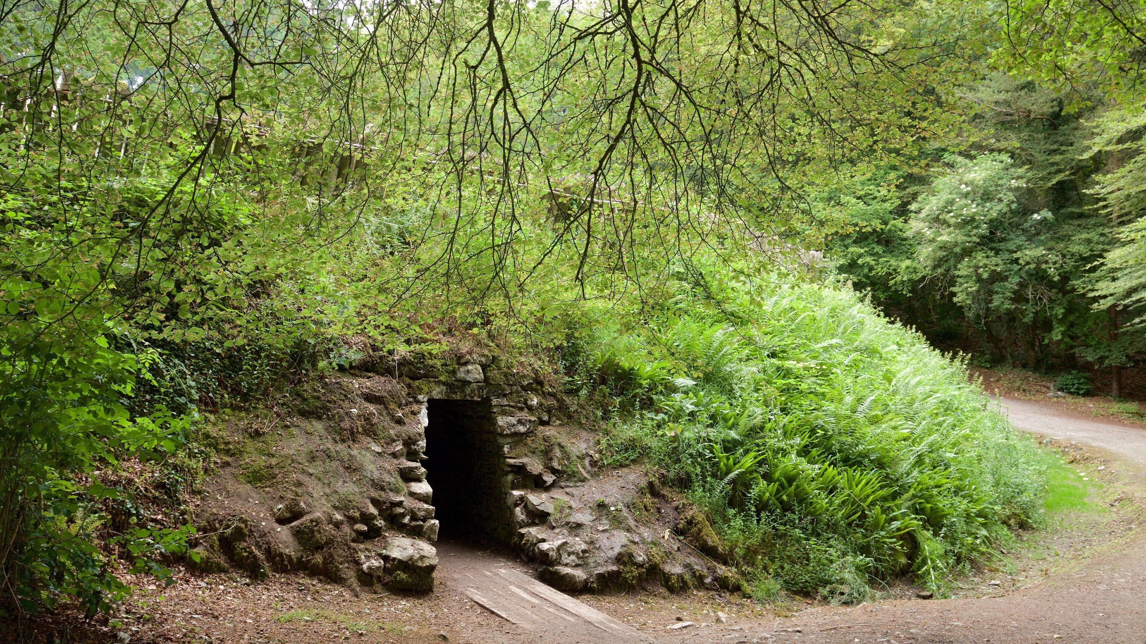 Craggaunowen featuring a house, heritage architecture and heritage elements