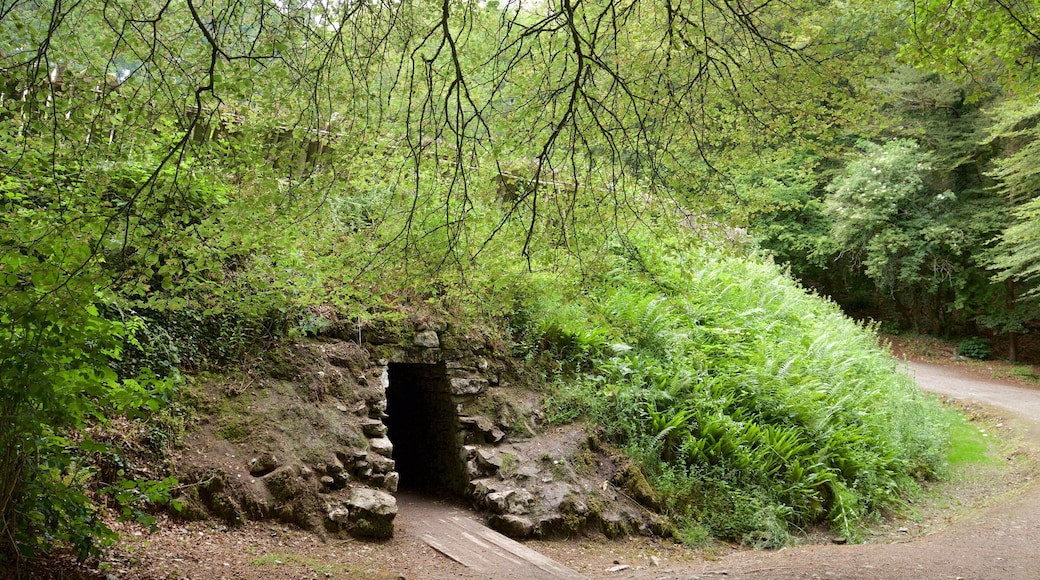 Craggaunowen featuring a house, heritage architecture and heritage elements