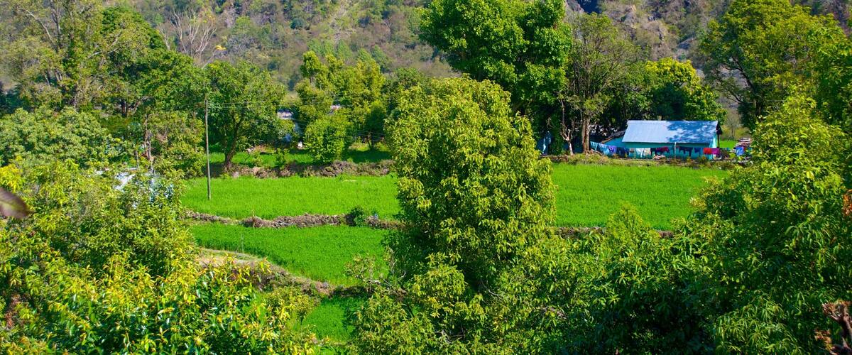 BhujiaGhat which includes farmland