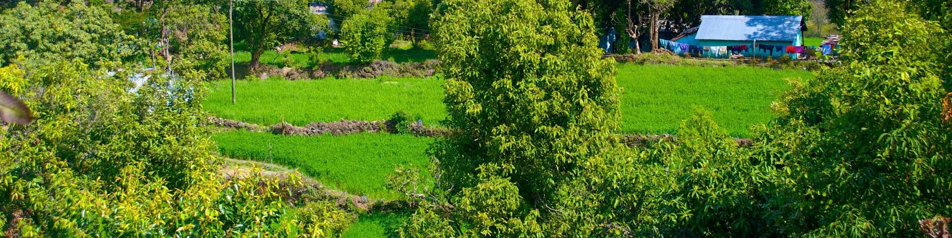 BhujiaGhat which includes farmland