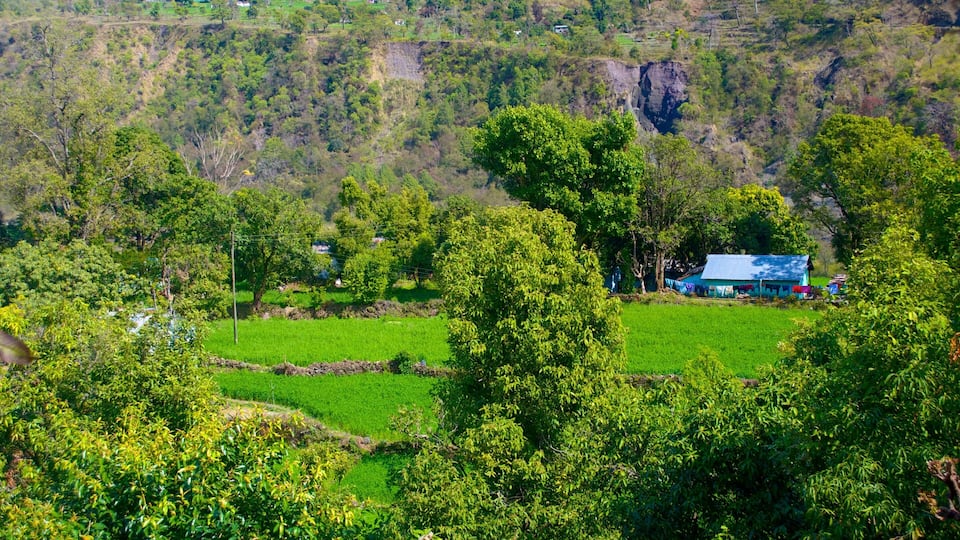 A rural landscape with a house, green fields, and a forested hill.