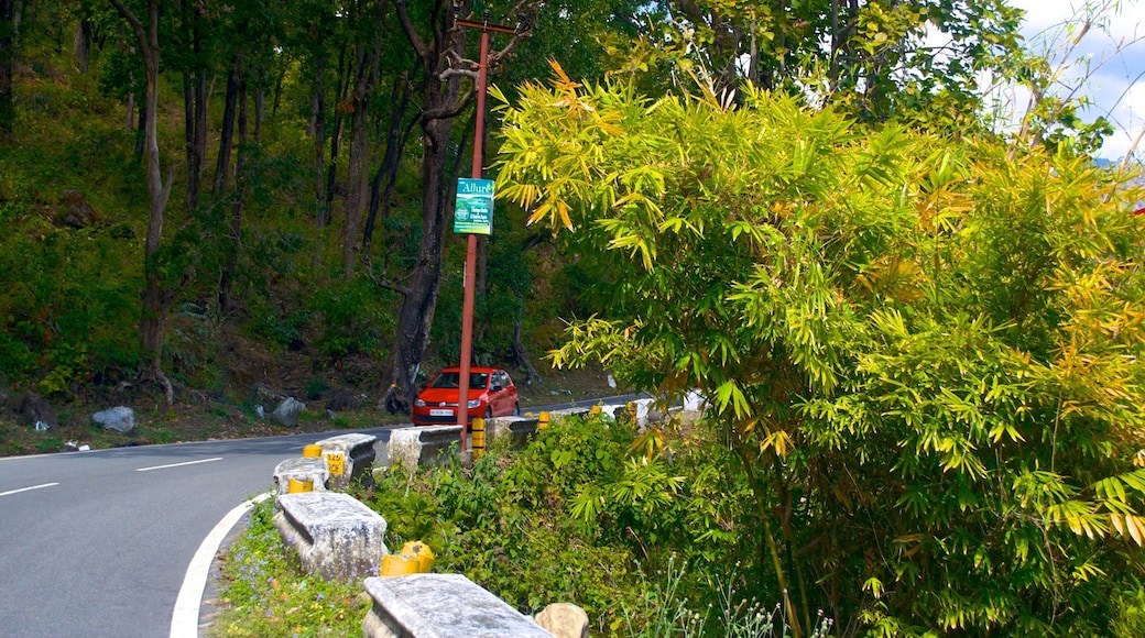 BhujiaGhat que incluye visitas