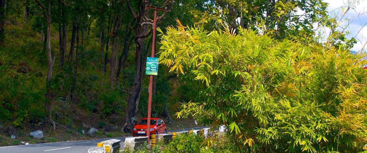 BhujiaGhat which includes vehicle touring