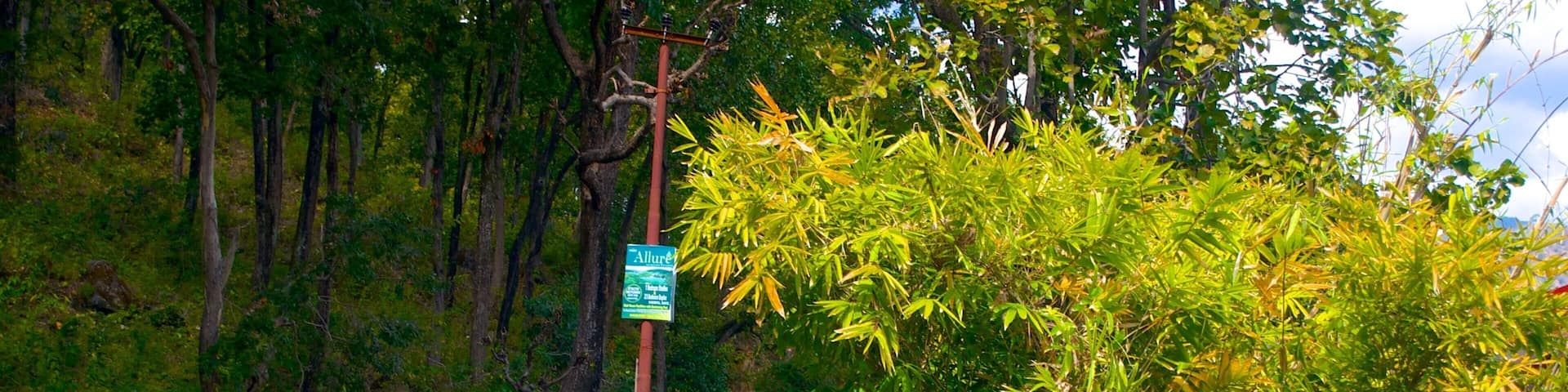 BhujiaGhat which includes vehicle touring