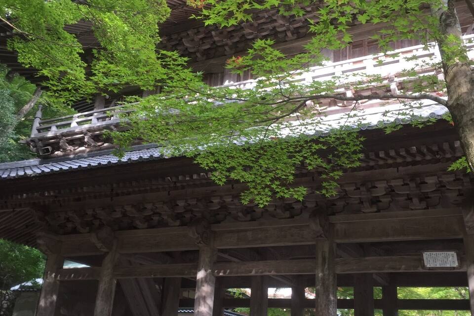 Un edificio tradizionale giapponese con tetto in tegole e struttura in legno, immerso nel verde.