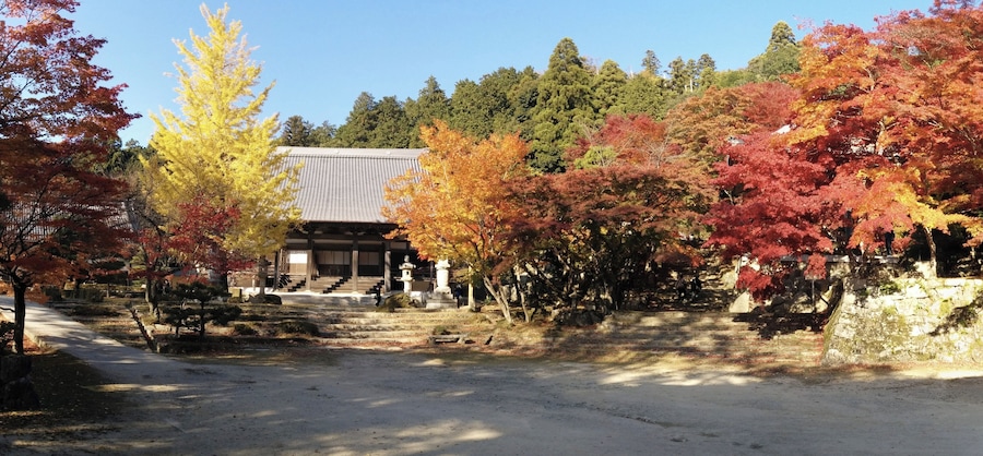 Un edificio tradicional japonés rodeado de árboles de colores otoñales.