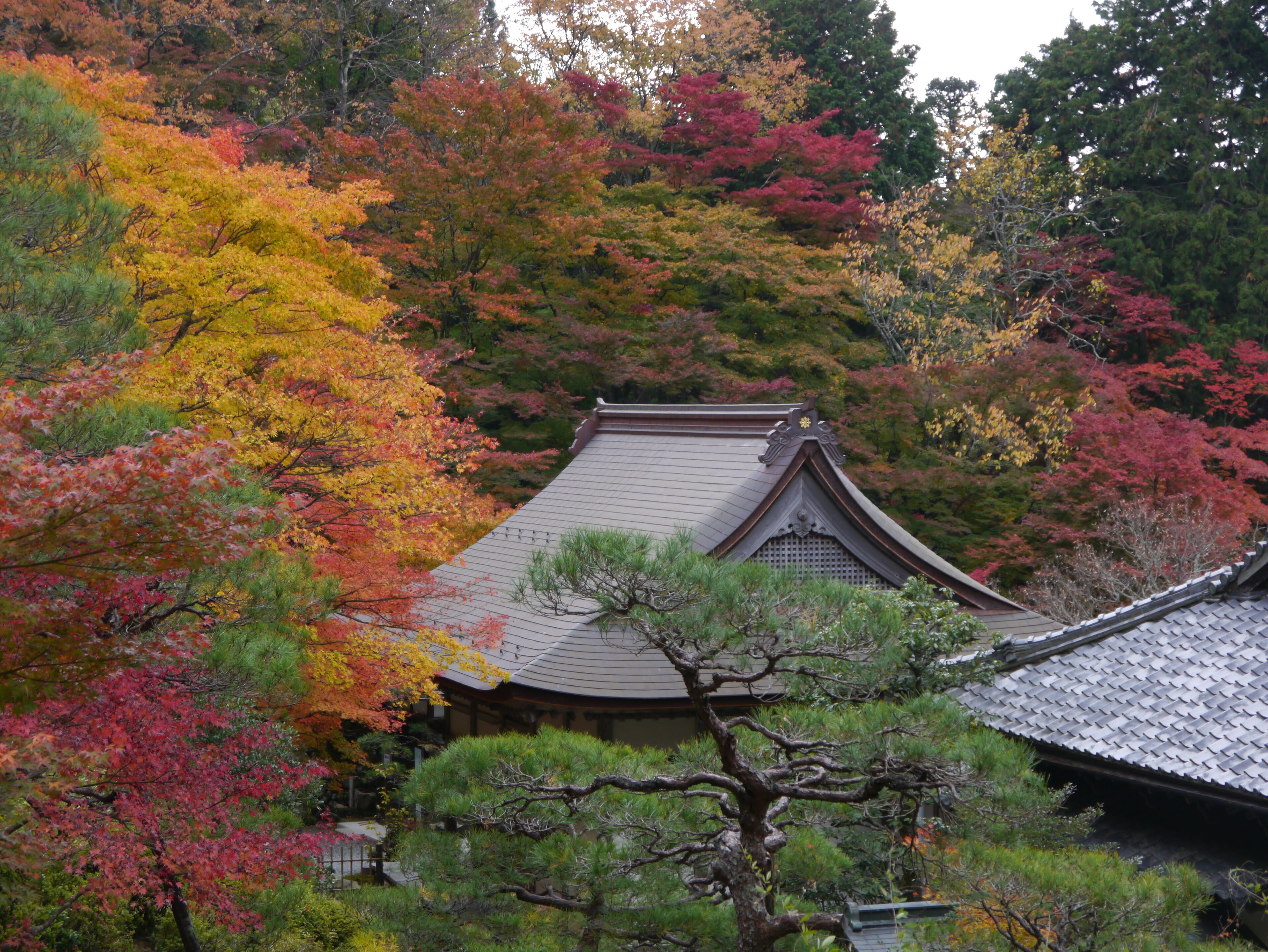 Hyakusaijicho, Higashiomi, Shiga Prefecture 527-0144, Japan