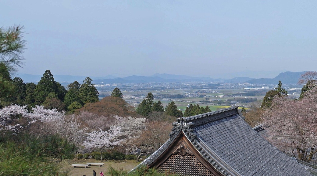 Hyakusai-ji temple , 百済寺(ひゃくさいじ)