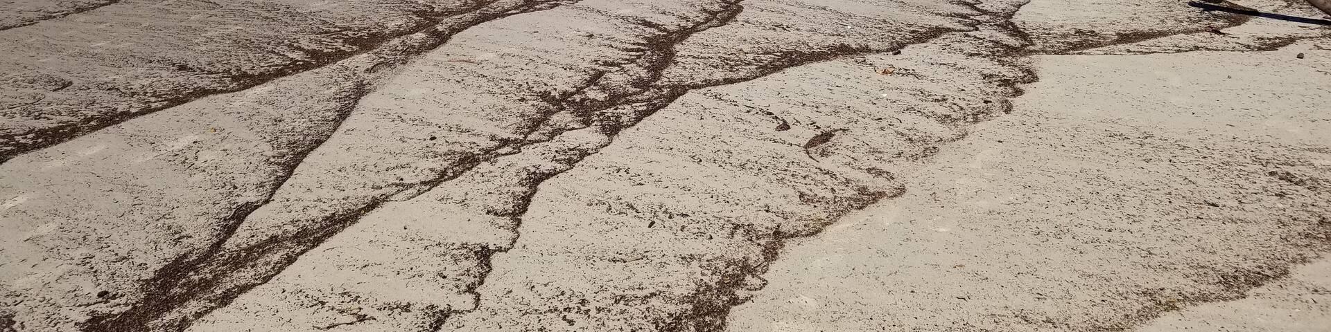 Low Tide at Carpinteria State Beach , Shutterstock ID 1053312371, Purchase Order: SP-1891 Wave 0, Client/Licensee: Hotels.com