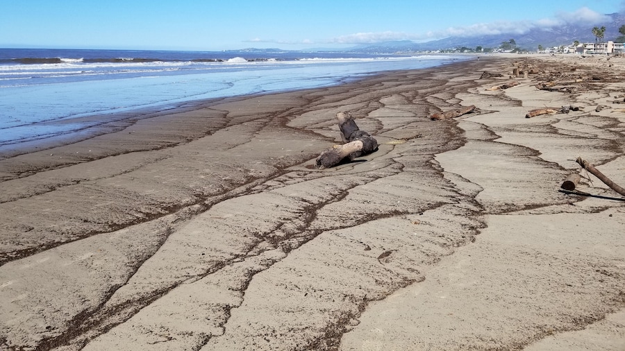 Carpinteria State Beach (plage)