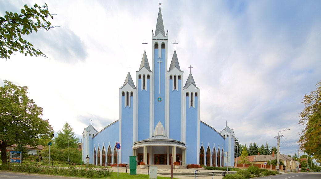 Roman Catholic Church of the Holy Spirit 呈现出 歷史建築, 教堂或大教堂 和 宗教元素