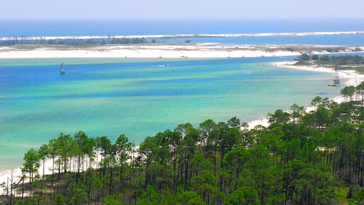Aerial view of beautiful coastal water of Florida