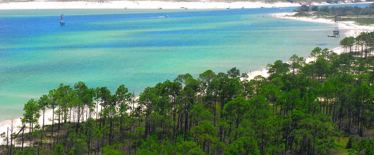 A coastal landscape with clear turquoise waters, sandy beaches, and dense green pine forests.