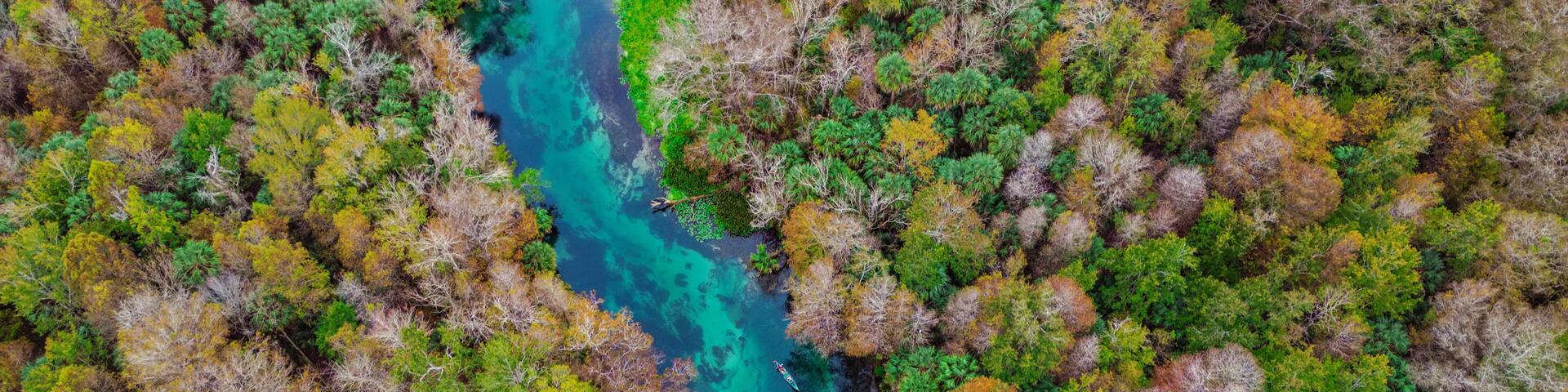 Silver River, Ocala, Florida