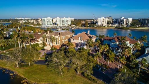 Aerial image luxury Florida real estate homes on Belleview