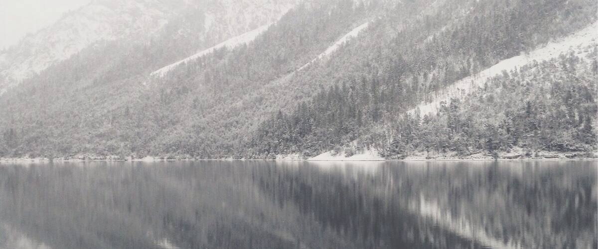 Plansee on a cold winter morning! #snow #see #austria