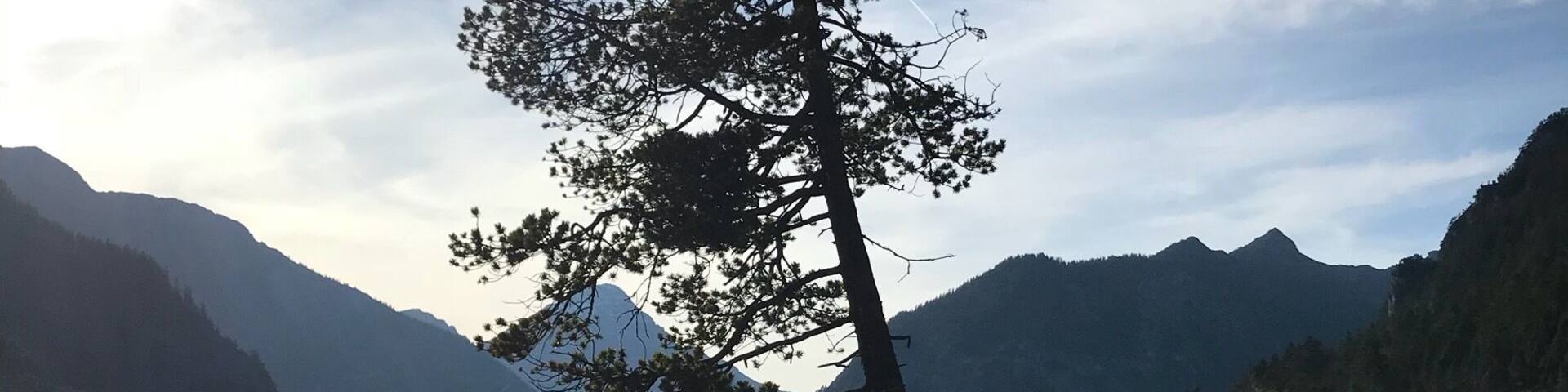 reaching the sky @Plansee, Austria