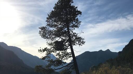 reaching the sky @Plansee, Austria