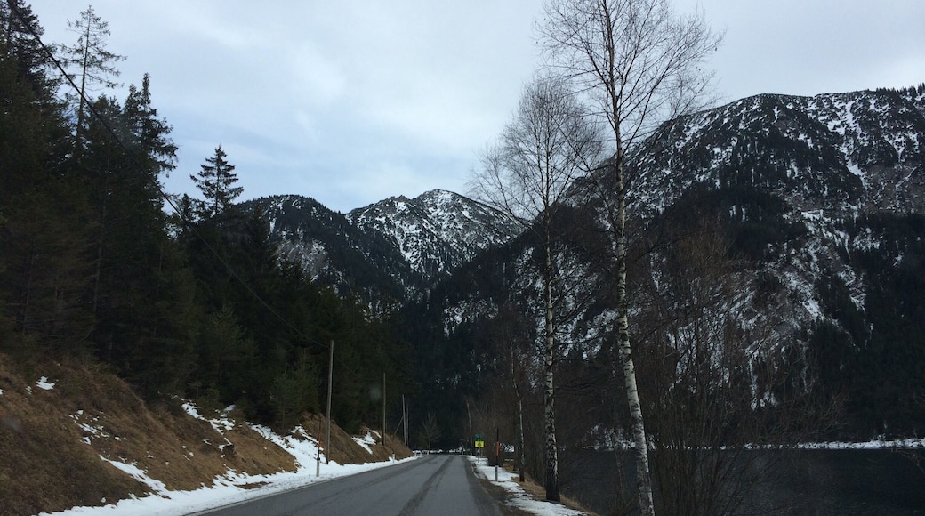 It was such a lovely and exhilarating drive to Neuchwanstein. My first #snow experience in Germany. We took the scenic route and it is just one memorable drive.
