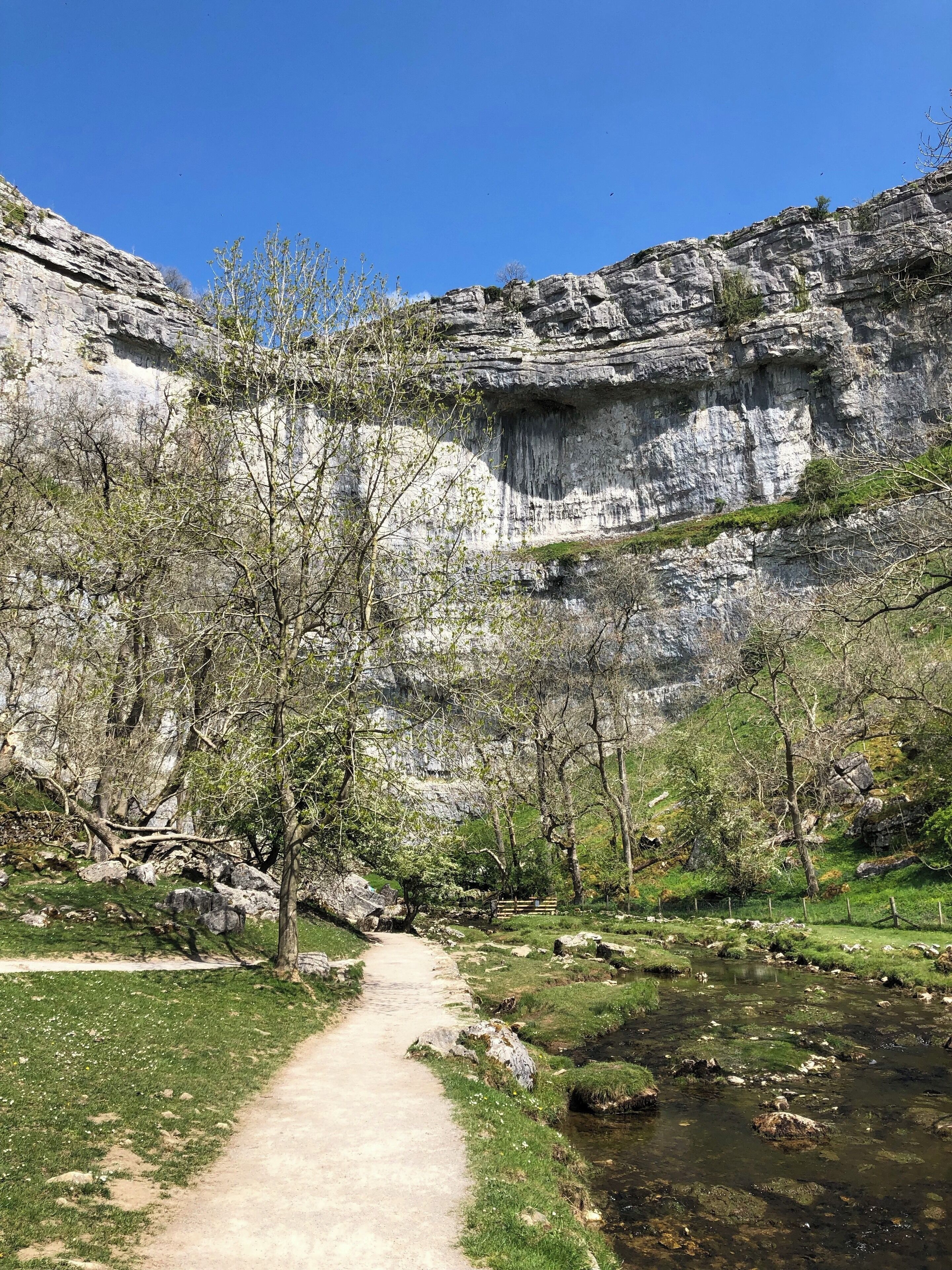 A rocky cliff with a path leading to a stream.
