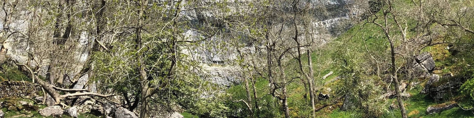 A rocky cliff with a path leading to a stream.