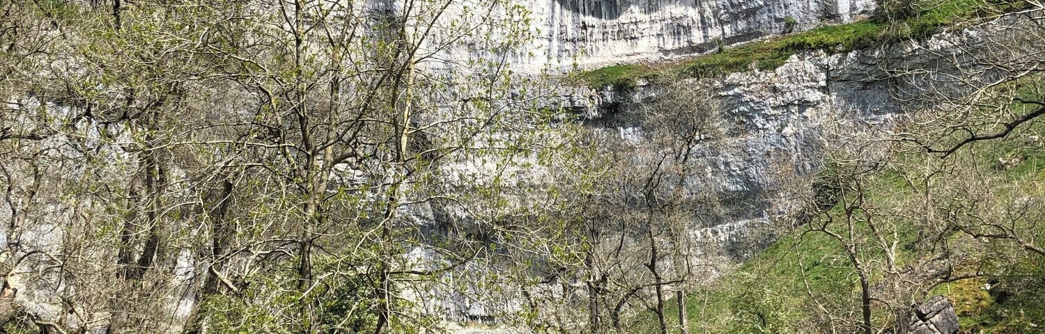 Un acantilado rocoso con un sendero que lleva a un arroyo.