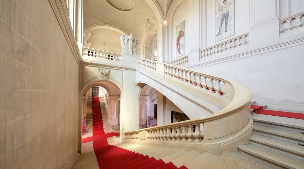 Museo de Arte e Historia