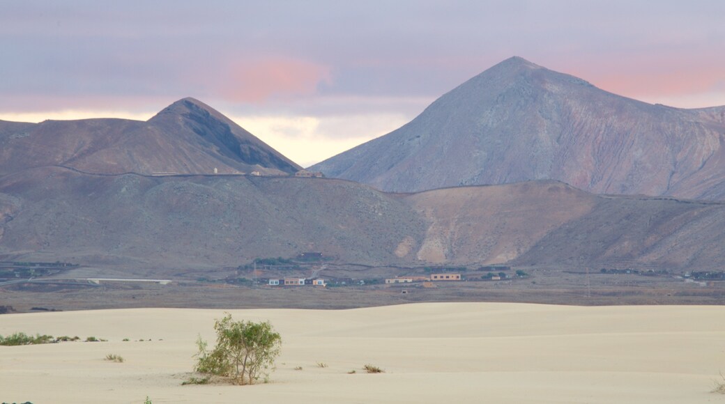 La Oliva featuring mountains and a beach