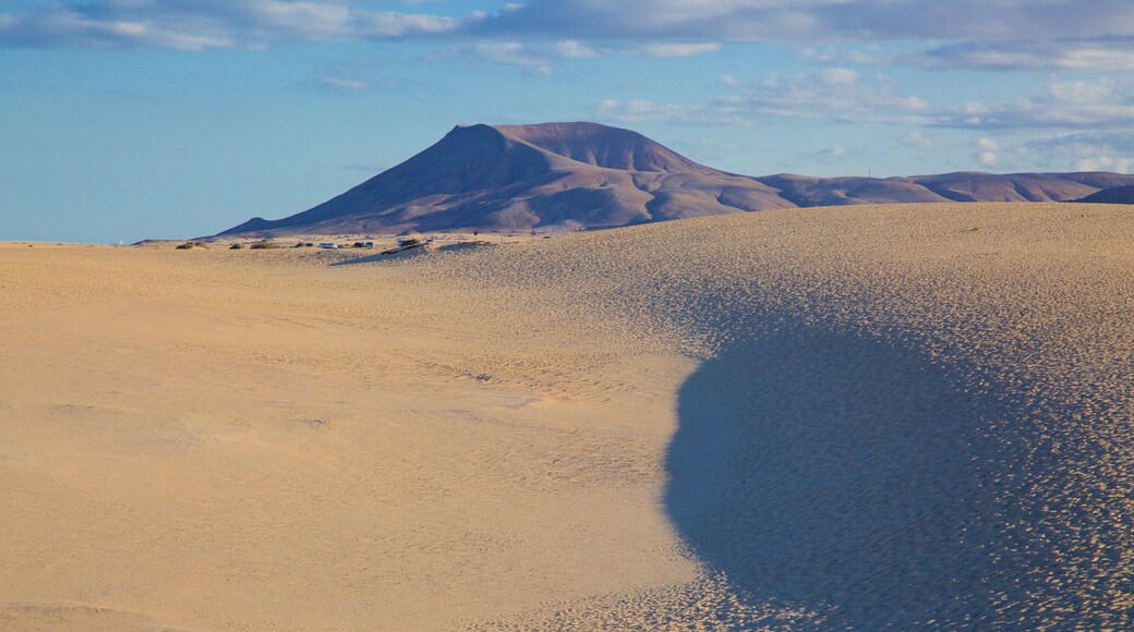 La Oliva que incluye vistas al desierto y montañas