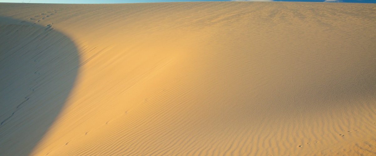 Corralejo Dunes Natural Park Hotel Guide
